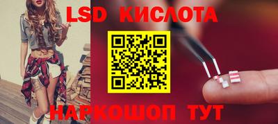 стафф Славгород