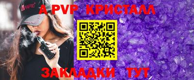 спиды Сланцы
