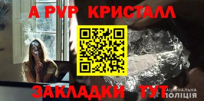 стафф Славгород
