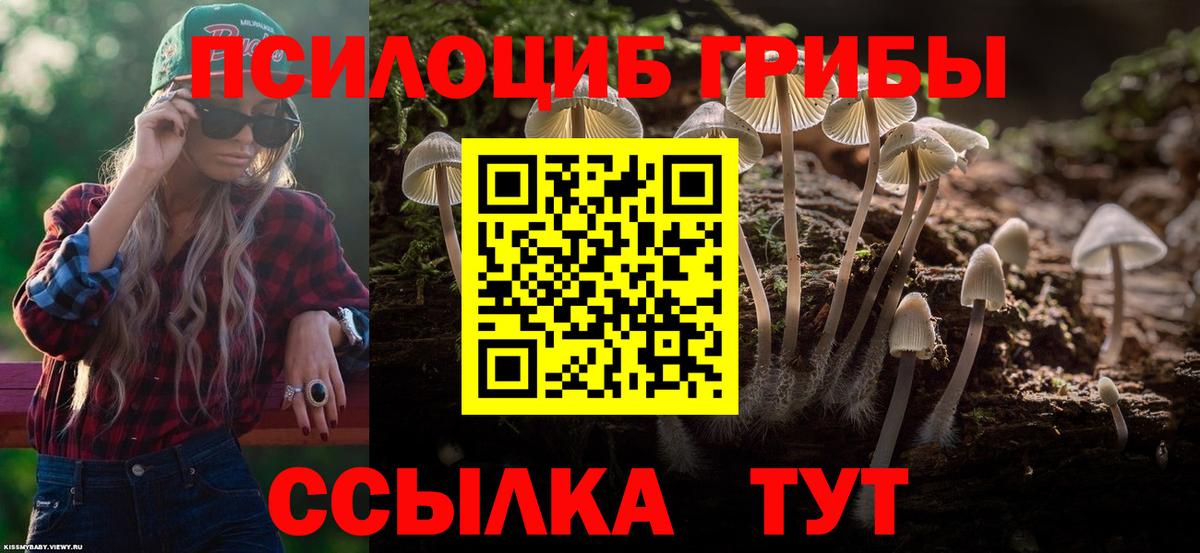 Галлюциногенные грибы Cubensis Нальчик