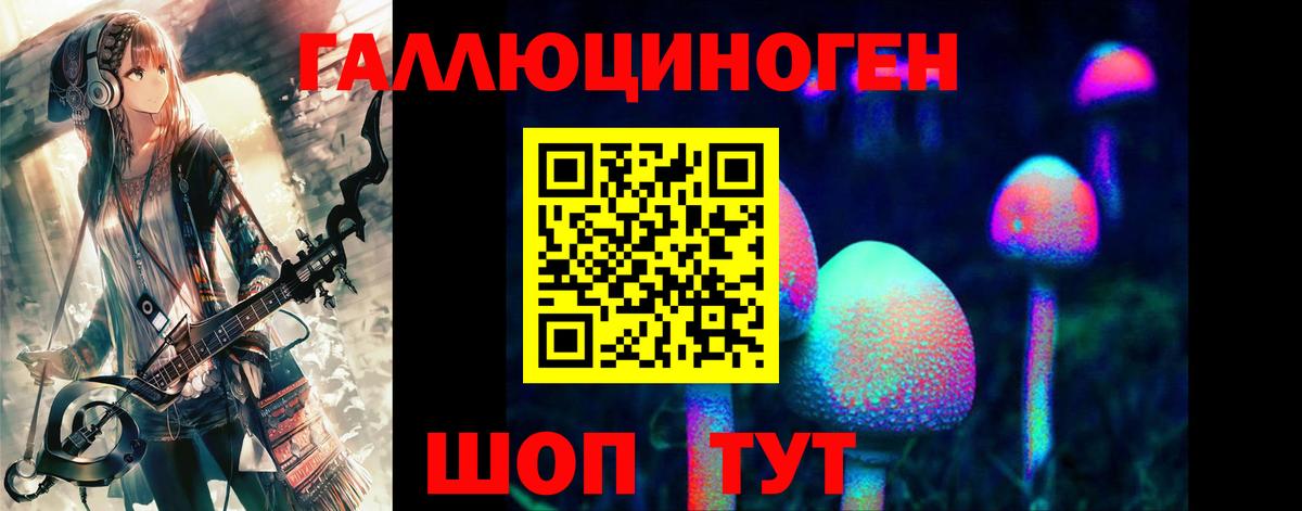 Псилоцибиновые грибы MAGIC MUSHROOMS  Вход с VPN  Нальчик  Псилоцибиновые грибы мицелий 